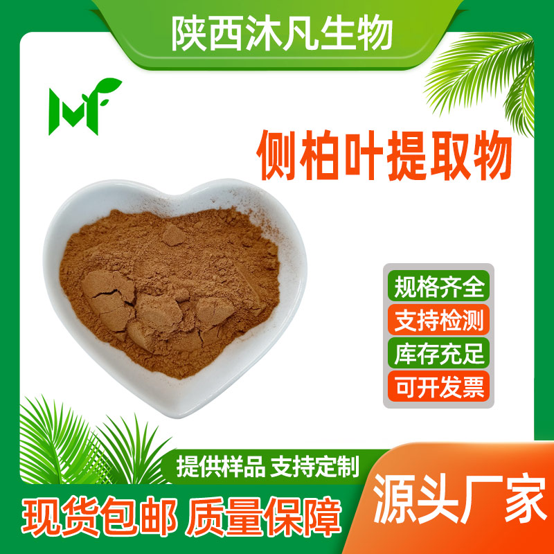 侧柏叶提取物