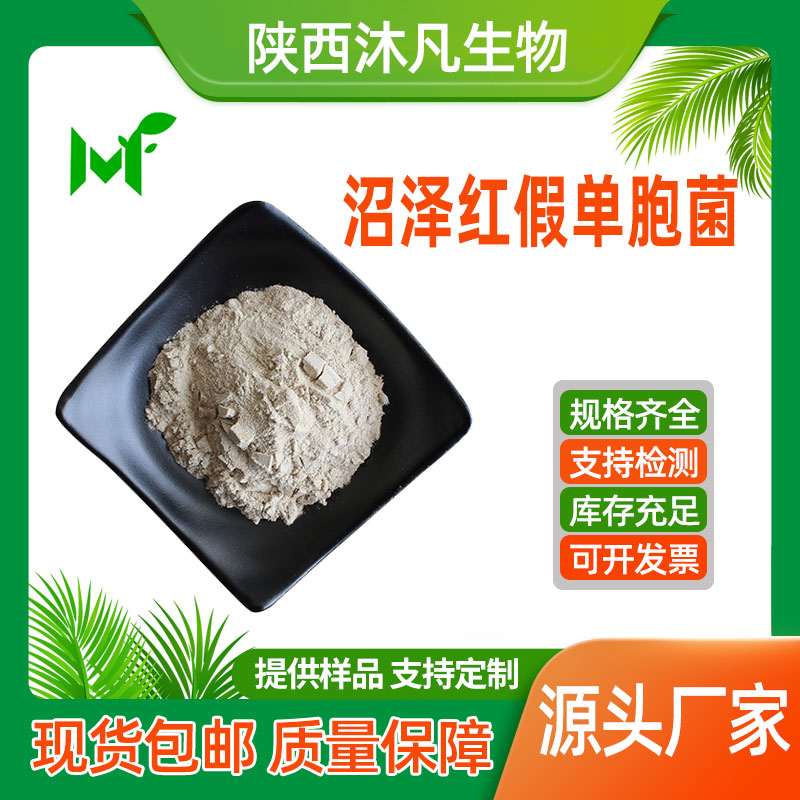 沼泽红假单胞菌