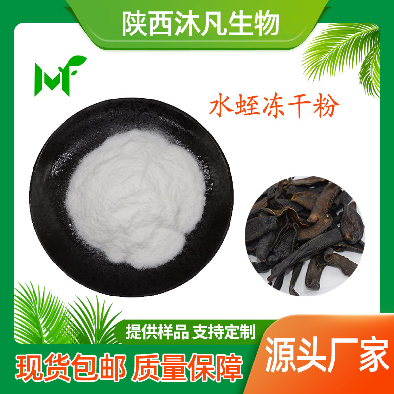水蛭冻干粉